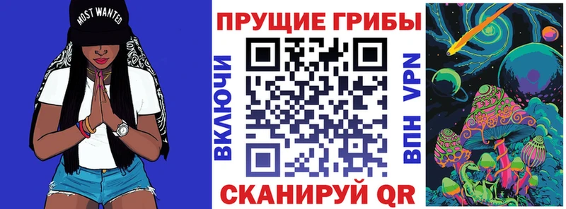 дарк нет какой сайт  Покачи  Псилоцибиновые грибы Magic Shrooms 